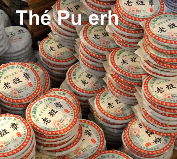 puerh1FR-1 _jpg